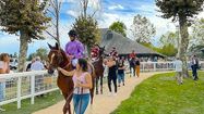 1500 COUPS DE POUCE – Pour les « petits » hippodromes menacés de fermeture